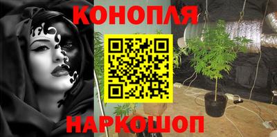 стафф Обь
