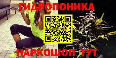 стафф Обь