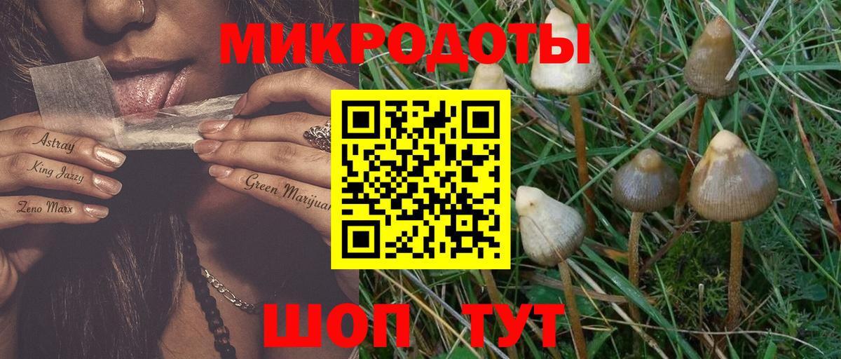 Гусиноозёрск  Псилоцибиновые грибы Cubensis  Вход с VPN 