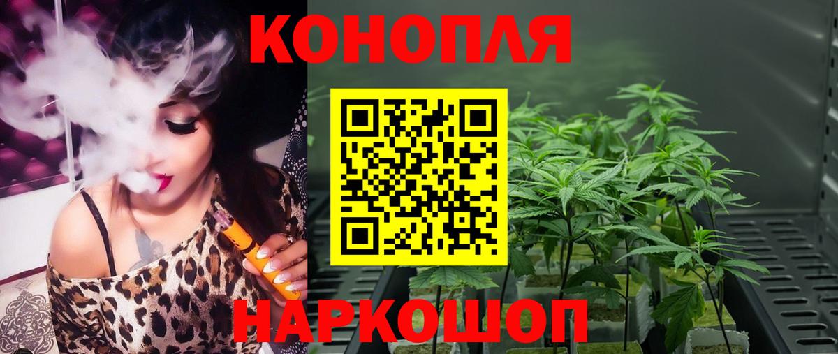 Гашиш Гусиноозёрск
